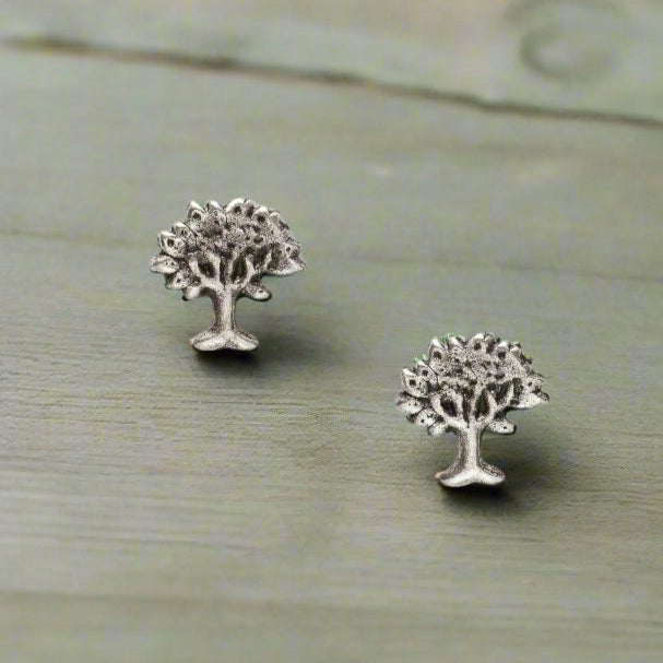 Sterling Silver Stud Earrings Gift Boxed for Her Friendship Gift