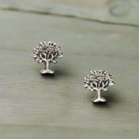 Sterling Silver Stud Earrings Gift Boxed for Her Friendship Gift