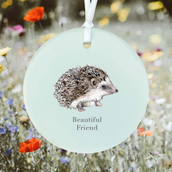 Hanging Ceramic Decoration - Hedgehog Beautiful Friend