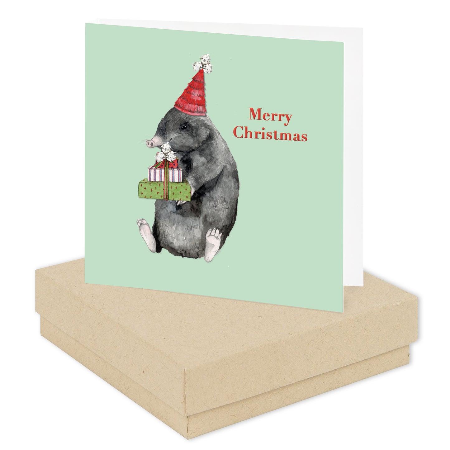 a christmas card with a hamster holding a present