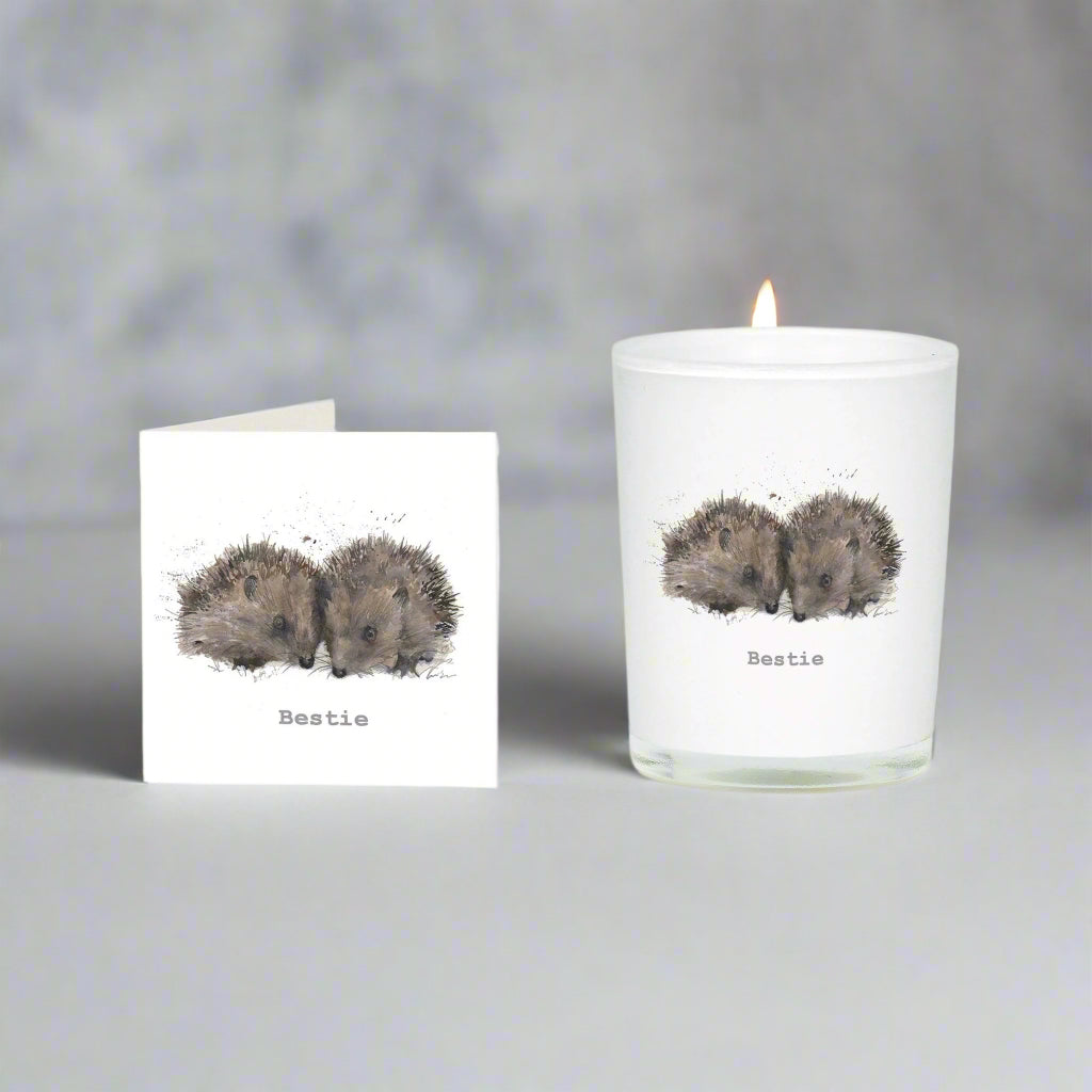 Bestie Hedgehogs Boxed Candle and Card Candles Crumble and Core   