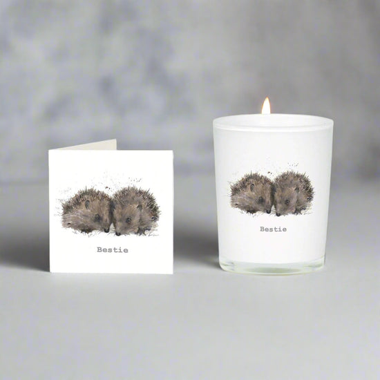 Bestie Hedgehogs Boxed Candle and Card Candles Crumble and Core   