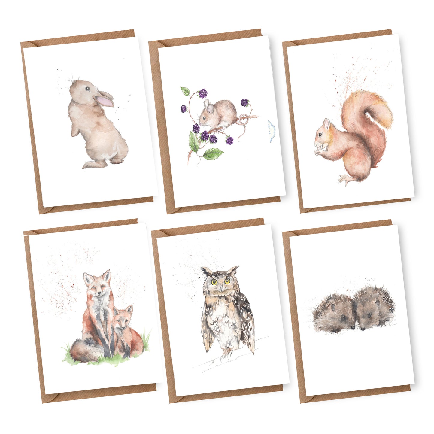 Boxed 'British Wildlife' pack of assorted A6 cards