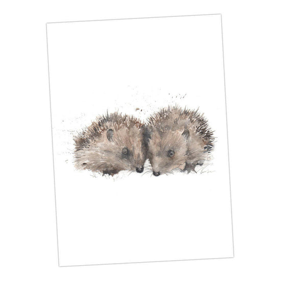 Boxed 'British Wildlife' pack of assorted A6 cards Greeting & Note Cards Crumble and Core   