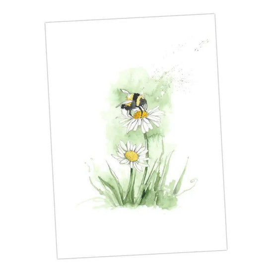 Boxed 'Bumble Bee' pack of assorted A6 cards Greeting & Note Cards Crumble and Core   