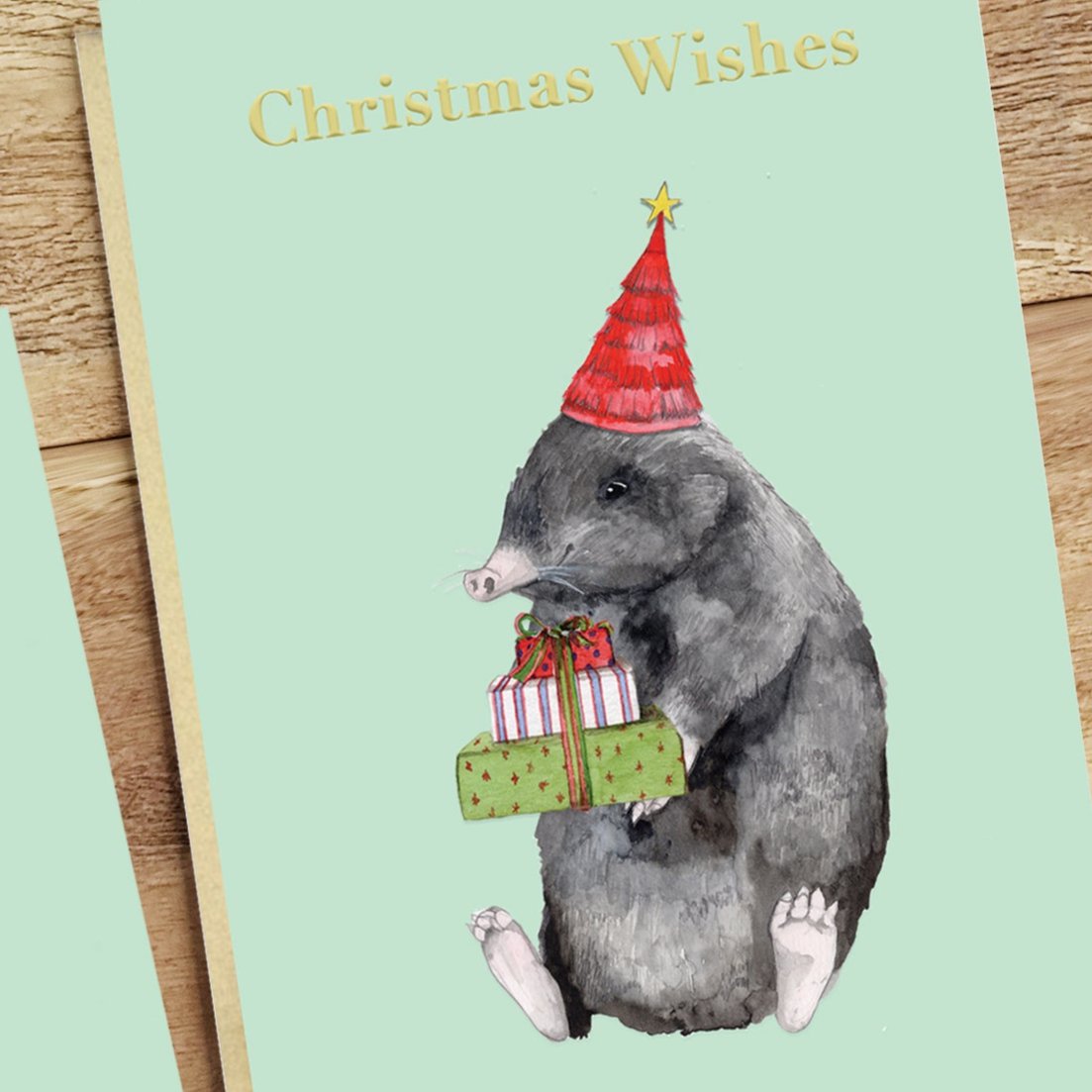 Animal Collection A6 Foiled Greeting Card Christmas Mole