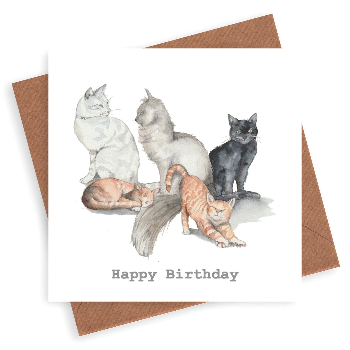 Cats Birthday Card