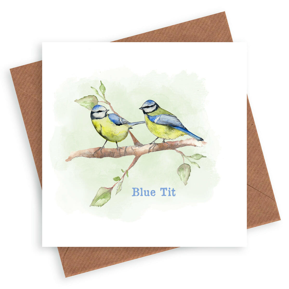 Blue Tit Bird Card Greeting & Note Cards Crumble and Core   