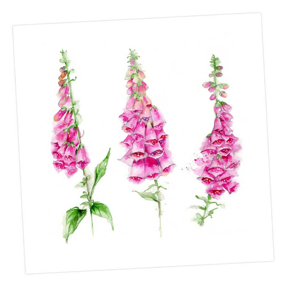 Foxglove Card Greeting & Note Cards Crumble and Core   