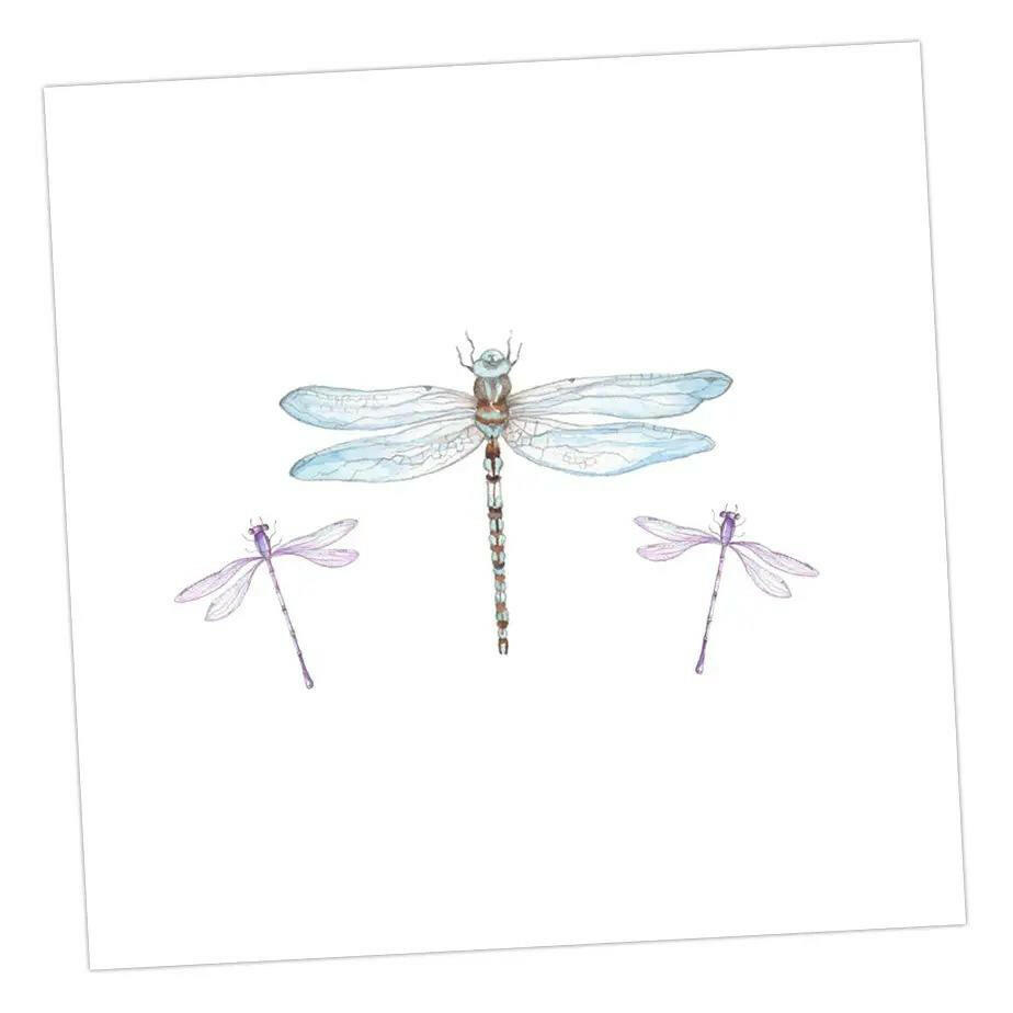 Dragonfly Greeting Card Greeting & Note Cards Crumble and Core   