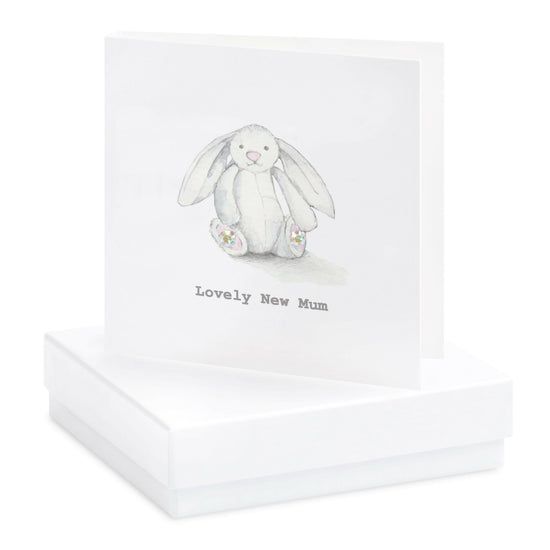 Sterling Silver Crystal Stud Earrings Gift Set - Ideal Gift for New Mums - Crumble and Core