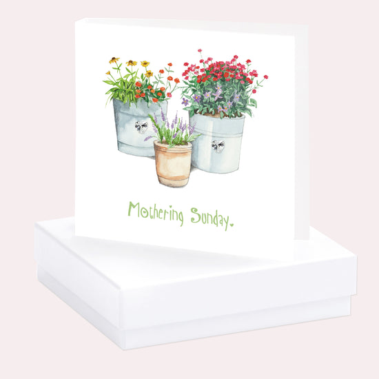 Sterling Silver Stud Crystal Heart Earring Card in Box Flower Pot Mothers Day Gift