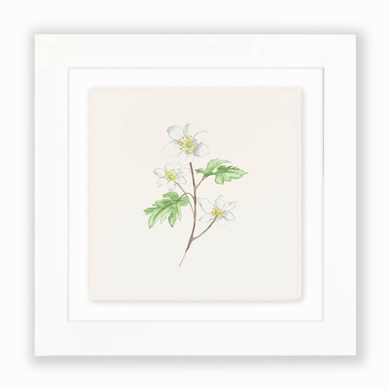 Load image into Gallery viewer, Hand Finished Ceramic Framed Tile Print - Anenome Design - Home Decor - Gifts for Her

