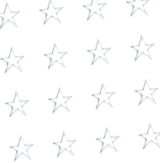 Star Gift Wrapping Gift Wrap & Tag Pack Wrapping Paper Crumble and Core   