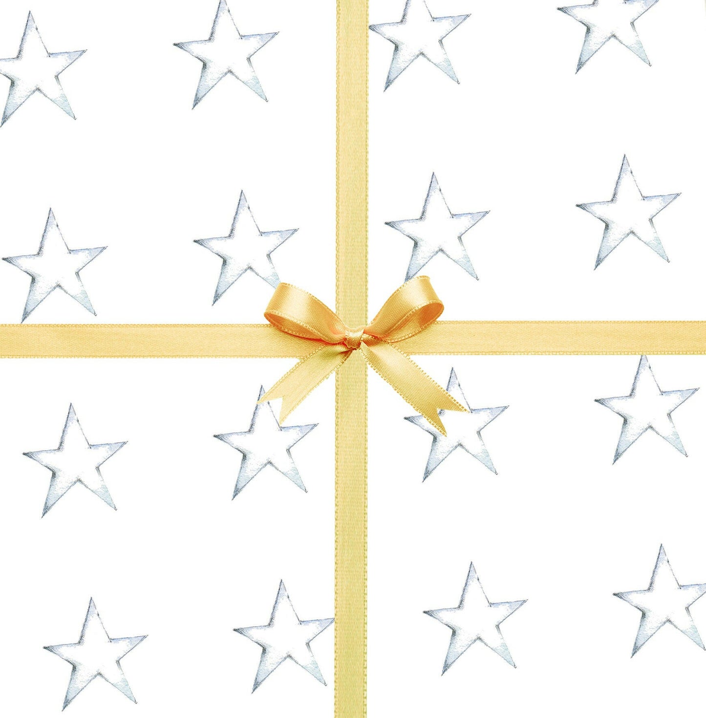 Star Gift Wrapping Gift Wrap & Tag Pack