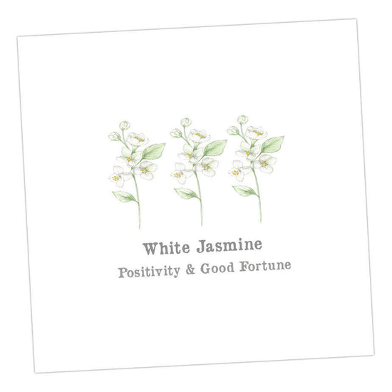 White Jasmine Card Greeting & Note Cards Crumble and Core 12 x 12 cm  