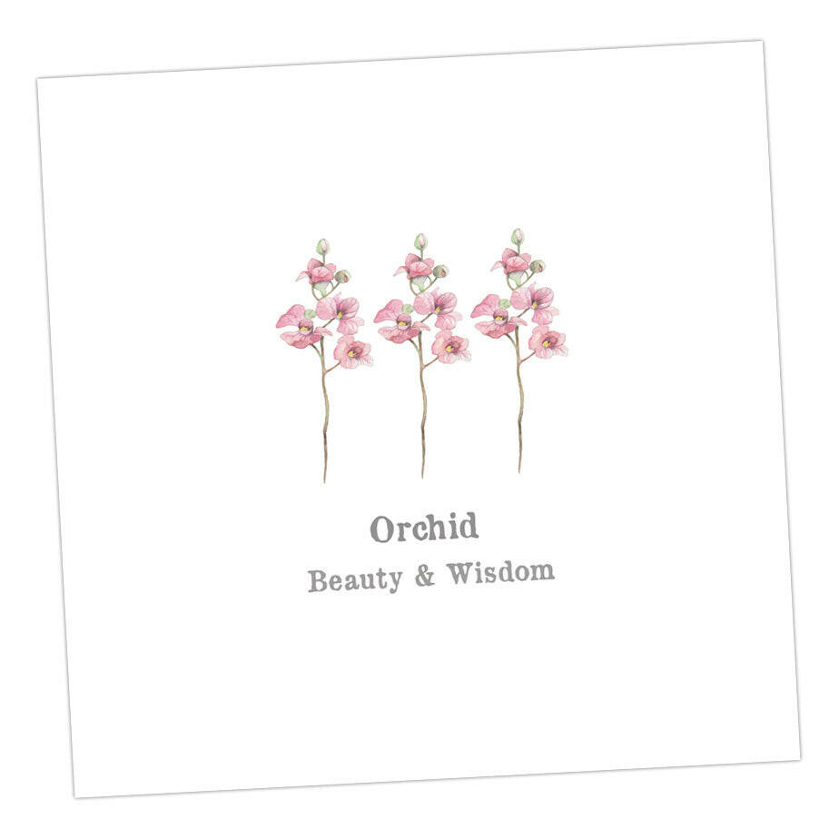 Orchid Card Greeting & Note Cards Crumble and Core 12 x 12 cm  