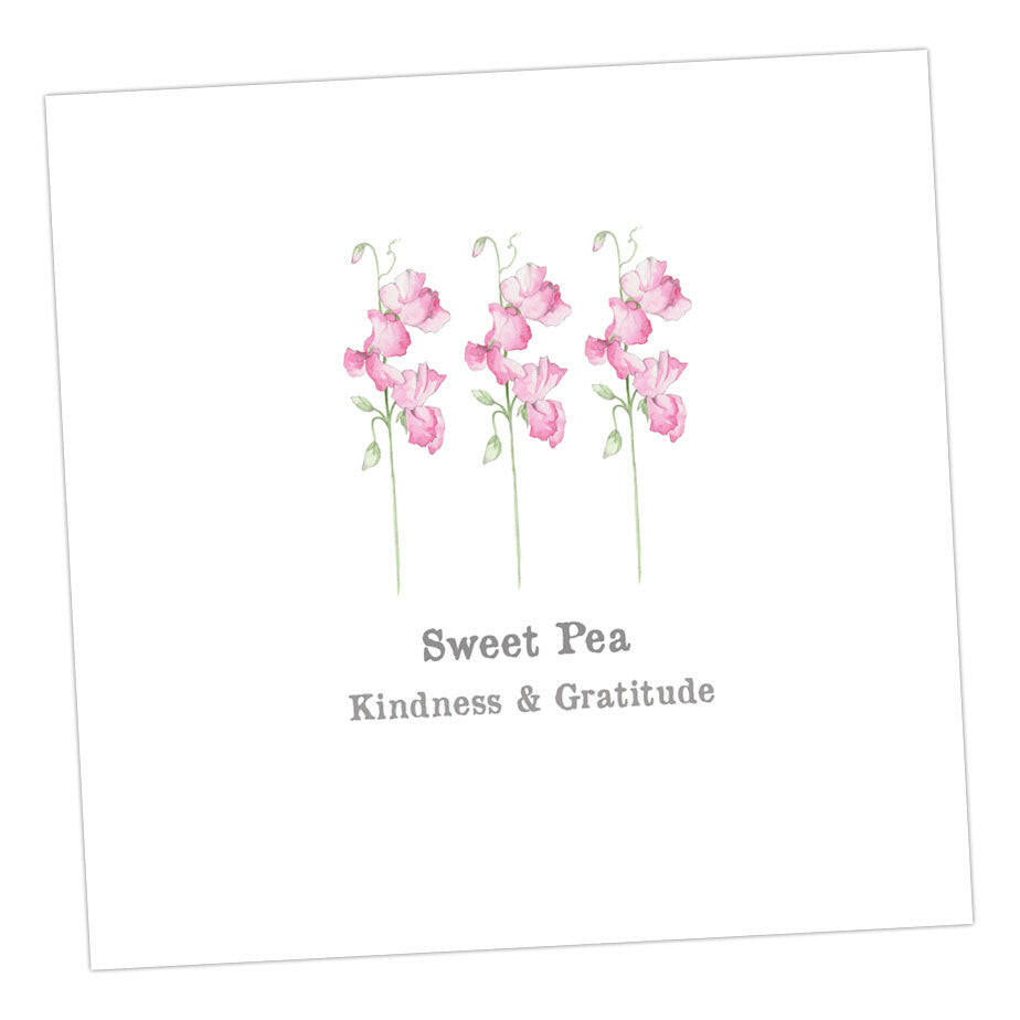 Sweet Pea Card Greeting & Note Cards Crumble and Core 12 x 12 cm  