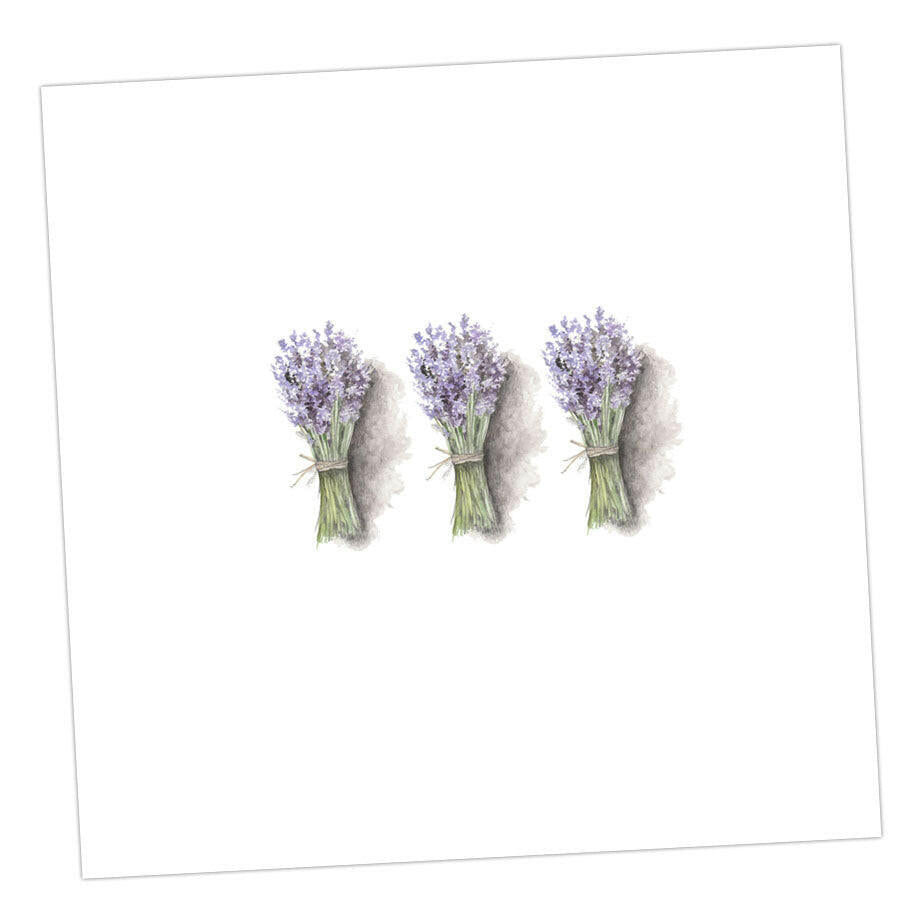 Lavender Blank Card Greeting & Note Cards Crumble and Core 12 x 12 cm  