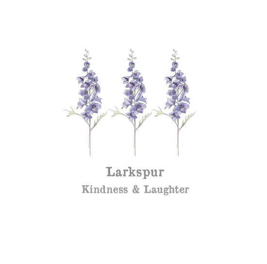 Larkspur Card Greeting & Note Cards Crumble and Core   