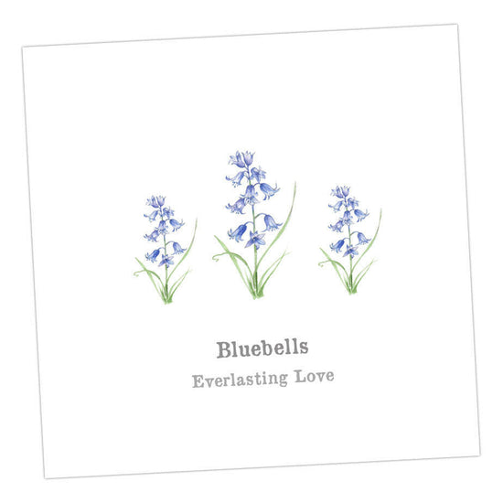 Bluebells Card Greeting & Note Cards Crumble and Core   