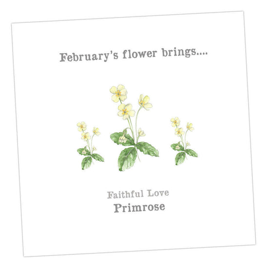 February Primrose Card 12 x 12 cm Card Greeting & Note Cards Crumble and Core   